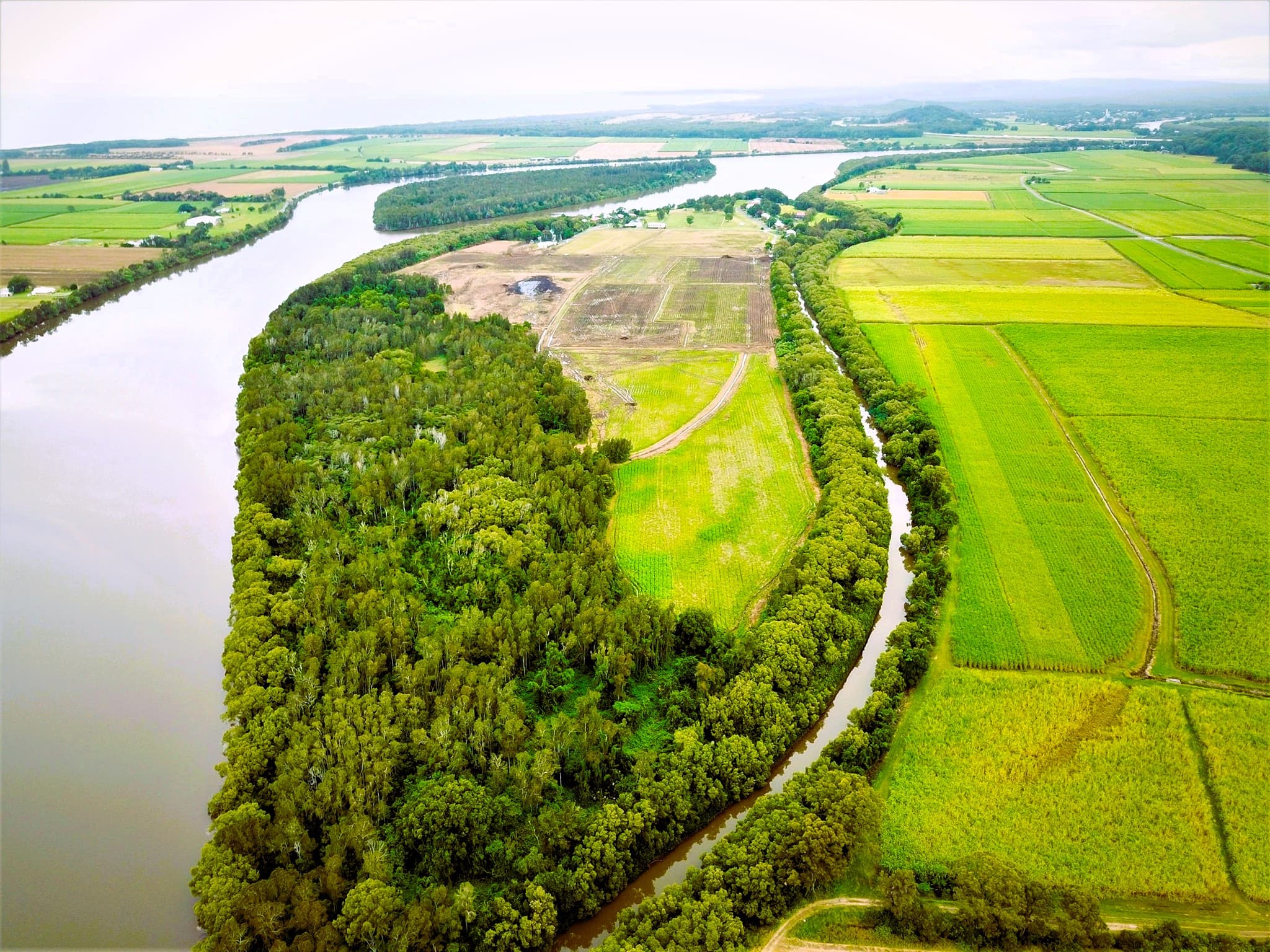Image of Cabbage Tree Island